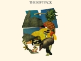 The Soft Pack – Strapped